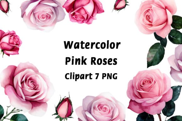 Pink Roses Watercolor Clipart: Your Guide to Elegant Digital Design