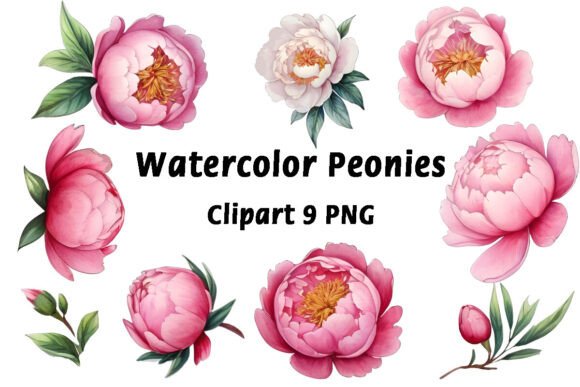 Unlocking Creative Potential with Watercolor Peonies Flowers Clipart